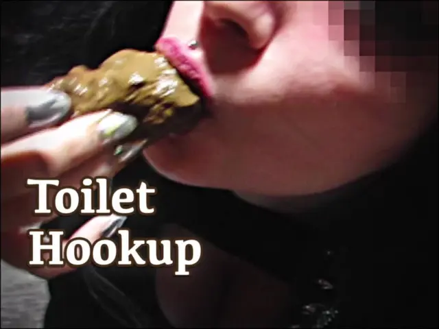 Toilet Hookup