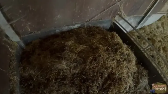 Hide And Fuck In The Pit