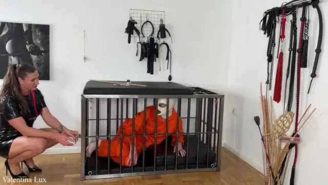 Educating Prisoners with Caviar