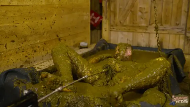 Five Prostate Orgasms in Cow Dung
