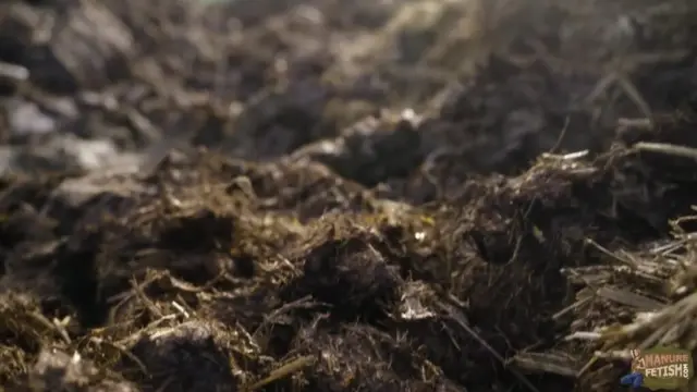 ON TOUR: Digging in the dung pile